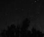 Starry field