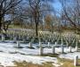 Arlington I