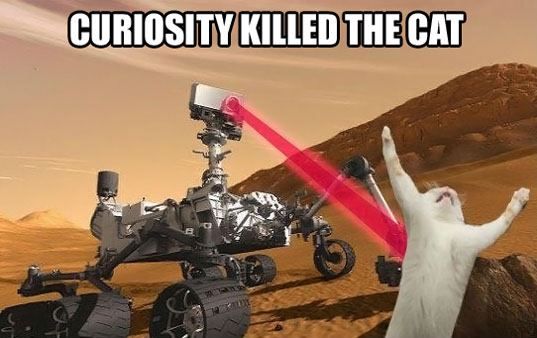 curiosity