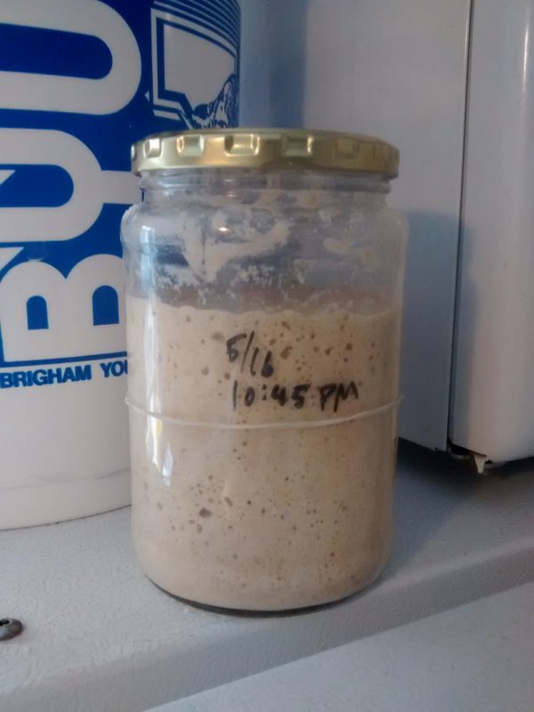 My sourdough starter which I made from white wheat and all-purpose flour. The rubber band represents the level that it started at, and the timestamp shows when it was last fed.